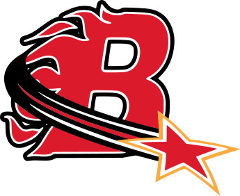 File:Billingham Stars Logo.svg