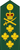 Canadian Forces Unification Rank Insignia OF-9.png
