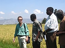 CNFA staff Nick Richie and Esborne Baraza speak to rice farmers at the Ahero rice project, 2005 Nick Richie CNFA Africa Programs Director with Esborne Baraza and 2 rice farmers in Ahero, Kenya.jpeg