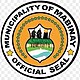 Official seal of Mabinay