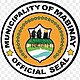 Ph-seal-Mabinay.jpg