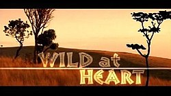 Wild at Heart Titlecard.JPG