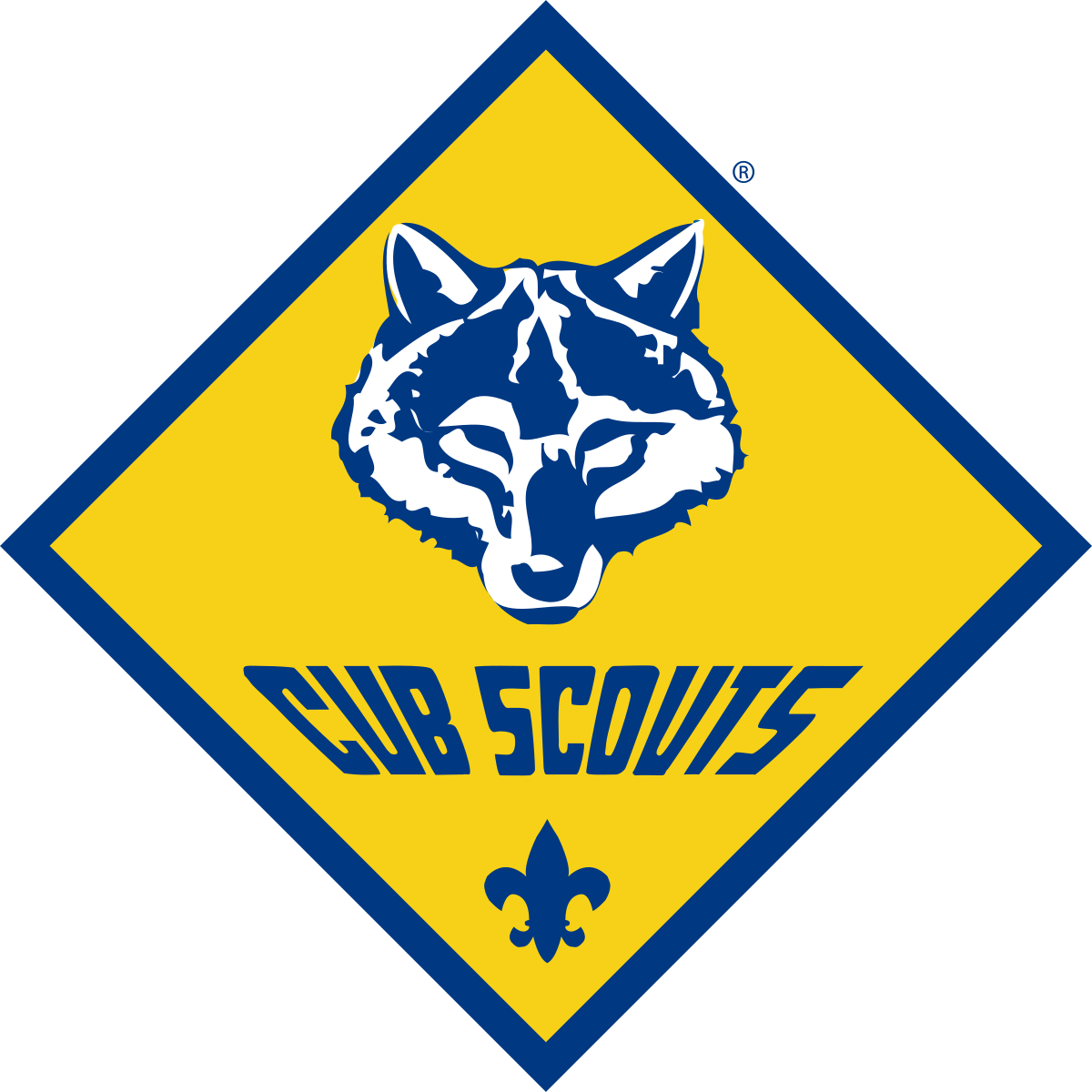 Boy Scouts Of America BSA Cub Scouts Wolf Rank 2” Patch