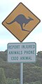 Sign with kangaroo on it (Point Lookout)