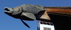 Salmon Gargoyle (1987) by Wayne Chabre, Eugene, Oregon.jpg