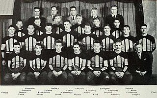 1933 Illinois Fighting Illini football team American college football season