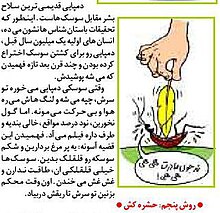 The cockroach also spoke in Persian. Azeri Cartoon Persian speaking cockroach .jpg