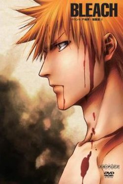 Bleach (season 5) - Wikipedia