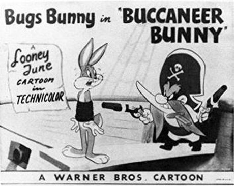 Buccaneer Bunny