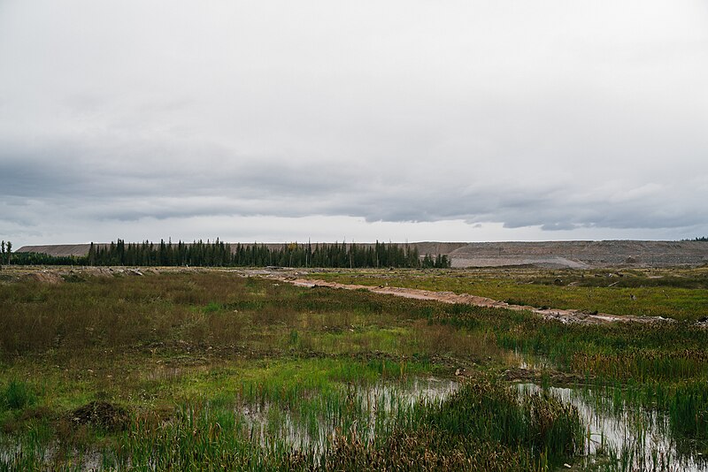 File:Mount polley wetland restoration.jpg