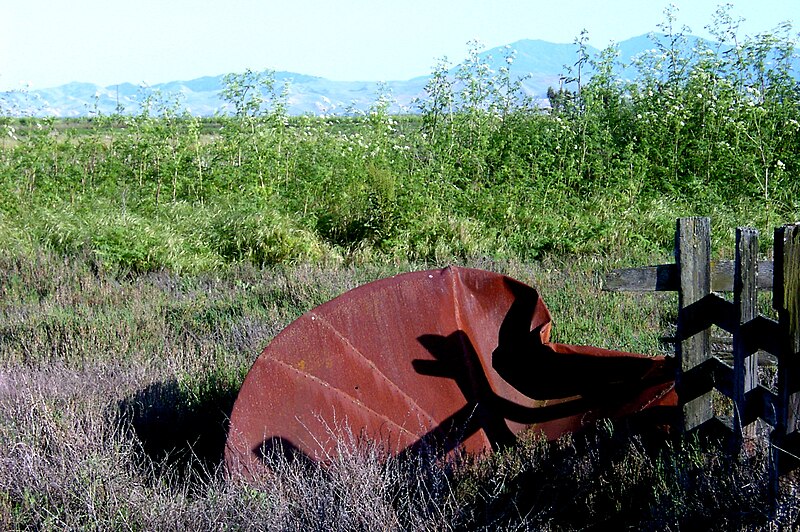 File:Suisun Marsh.jpg