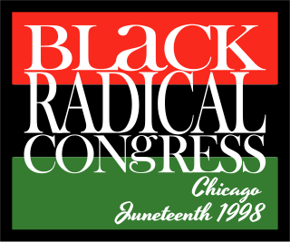 <span class="mw-page-title-main">Black Radical Congress</span>