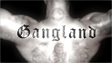Gangland: Wild Boyz [DVD]