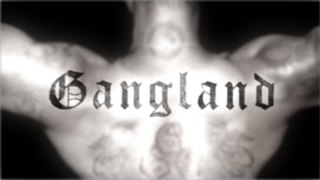 <i>Gangland</i> (TV series) American television series