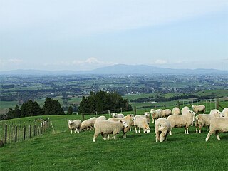 Pirongia Village in Waikato Region, New Zealand