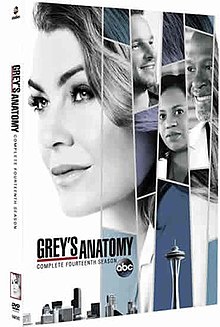 Grey's Anatomy S14 DVD Cover Art.jpg