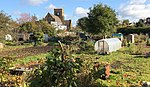 Northfield Allotments