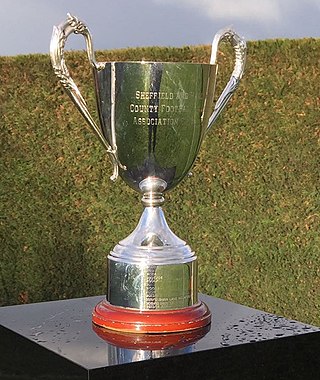 <span class="mw-page-title-main">Sheffield & Hallamshire Association Cup</span> Football tournament