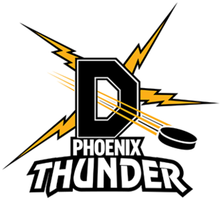 <span class="mw-page-title-main">Dunedin Thunder</span> Ice hockey team in Dunedin