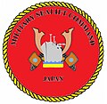 Thumbnail for Military Sealift Command Japan