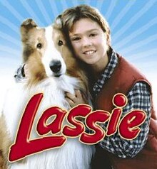 Lassie (1994 film) - Wikipedia