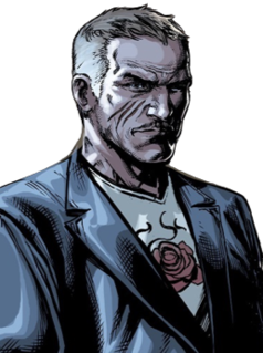<span class="mw-page-title-main">Carmine Falcone</span> Fictional DC Comics character