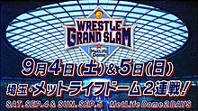 Grand Slam MetLife.jpg