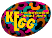 KEGG database logo.gif