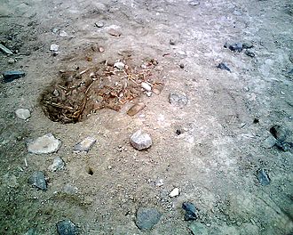 A looter's pit on the morning following its excavation, taken at Rontoy, Huaura Valley, Peru in June 2007. Several small holes left by looters' prospecting probes can be seen, as well as their footprints. Looting rontoy2007.jpg