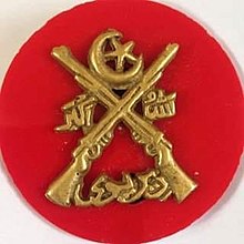 Dir Levies badge.jpg