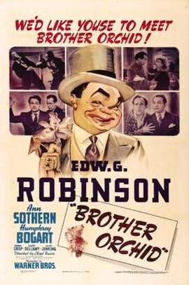 Theatrical release poster