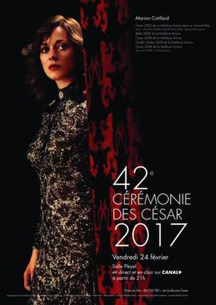 Official poster featuring a picture of Marion Cotillard in the 2013 film Blood Ties