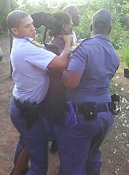 Members of the South African Police arrest a Rastafarian for a cannabis related offense during prohibition Police arresting Rastafarian in South Africa.jpg