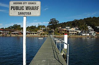 <span class="mw-page-title-main">Saratoga, New South Wales</span> Suburb of Central Coast, New South Wales, Australia