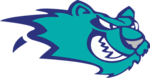 Worcester Icecats