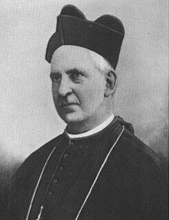 John Hennessy (bishop) Catholic bishop