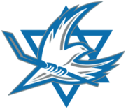 Israeli national ice hockey team Logo.png