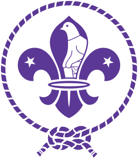 <span class="mw-page-title-main">The Scout Association of Zimbabwe</span>