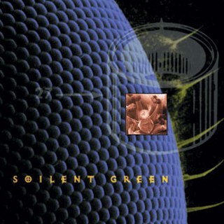 <i>Pussysoul</i> 1995 studio album by Soilent Green