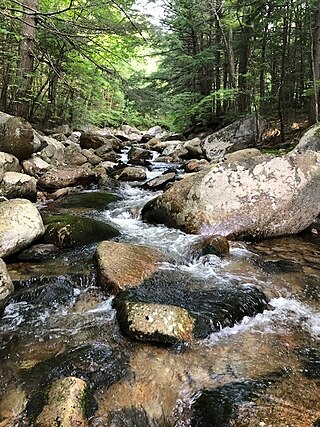 <span class="mw-page-title-main">Whiteface River (New Hampshire)</span> River in United States of America