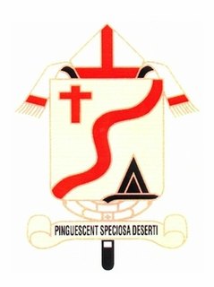 <span class="mw-page-title-main">Roman Catholic Archdiocese of Saint Boniface</span> Catholic ecclesiastical territory