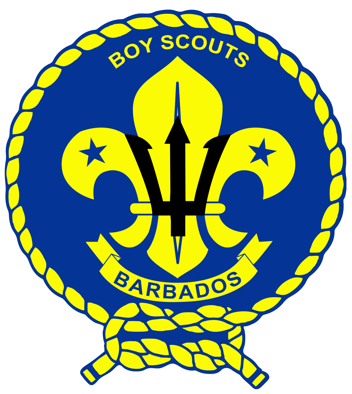 Boy Scout Hierarchy Chart