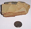 Thumbnail for Martinsburg Formation