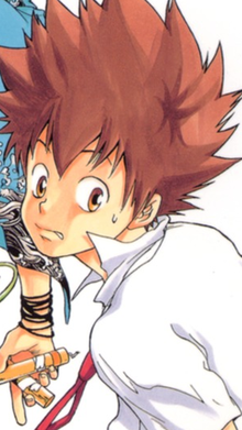 Katekyo Hitman Reborn, Wiki