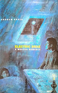 <i>Electric Brae</i> (novel)