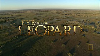 <i>Eye of the Leopard</i> 2006 American film