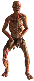 Ghoul (<i>Fallout</i>) Fictional species in the Fallout franchise