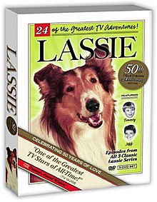 The Lassie 50th Anniversary DVD set, released September 14, 2004, contains highlights from all years of the series Lassie Best of Set.jpg