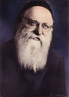 Dovid Shlomo Novoseller American rabbi