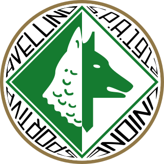 Calcio Avellino S.S.D. association football club in Italy